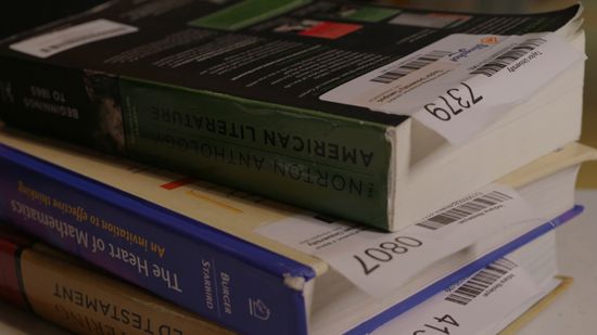 Rental Returns & Buybacks